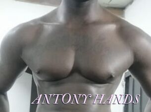 ANTONY_HANDS
