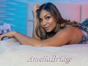 AmeliaBridge