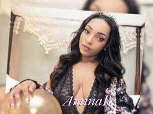 AminaB