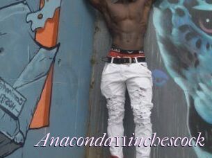 Anaconda11inchescock