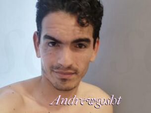 Andrewgosht