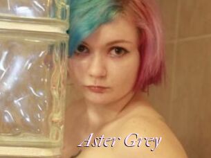 Aster_Grey