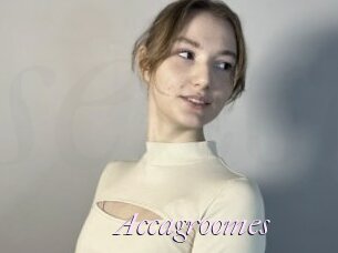 Accagroomes
