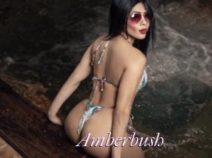 Amberbush