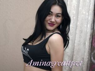 Aminagreattpvt