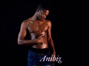 Anibig