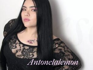 Antonelalemon