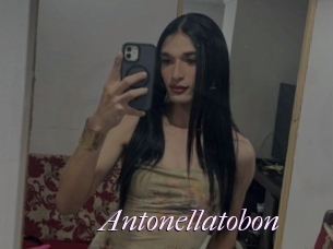 Antonellatobon