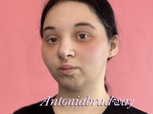 Antoniabradway