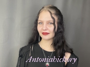 Antoniahickory