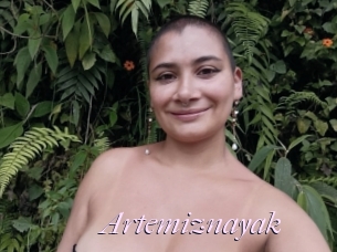 Artemiznayak