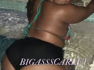 BIGASSSCARLET