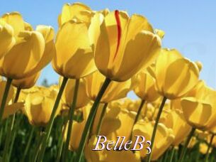 BelleB3