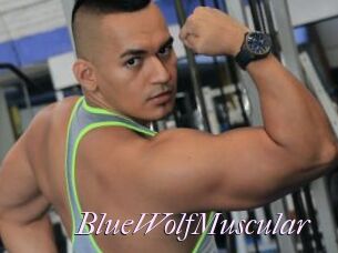 BlueWolfMuscular