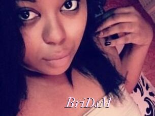 BriDsM