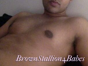 BrownStallion4Babes