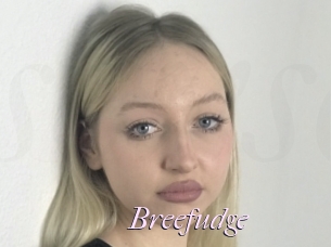 Breefudge