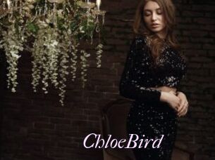 ChloeBird