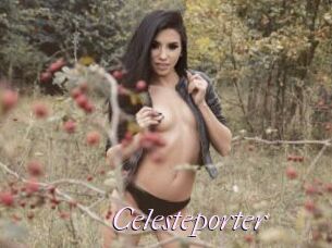 Celesteporter
