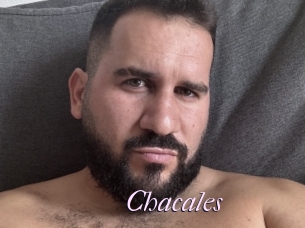 Chacales