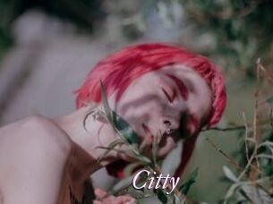Citty