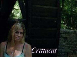 Crittacat