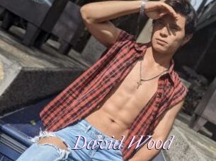 David_Wood