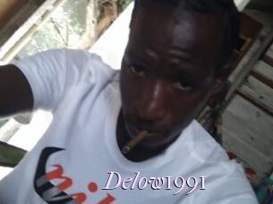 Delow1991