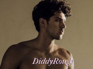 DiddyRough