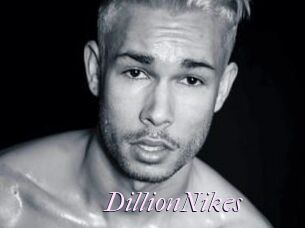 DillionNikes
