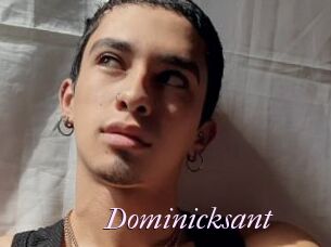 Dominicksant