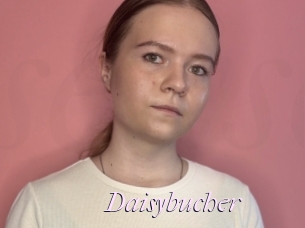 Daisybucher