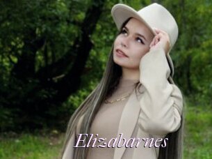 Elizabarnes