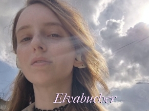 Elvabucher