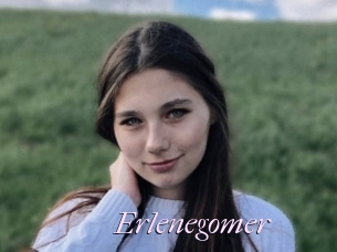 Erlenegomer