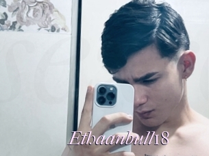 Ethaanbull18