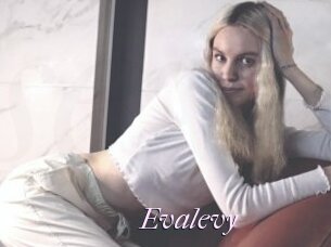 Evalevy