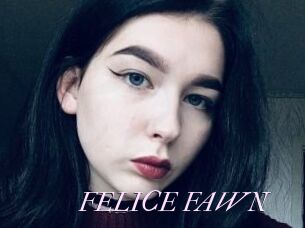 FELICE_FAWN