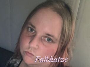 Falbkatze
