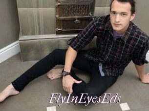 FlyInEyesEds