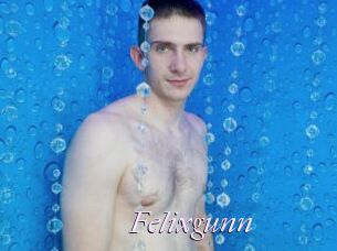 Felixgunn