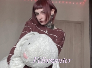 Felixwinter