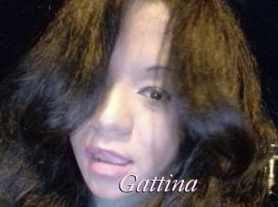 Gattina