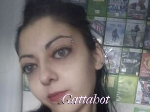 Gattahot