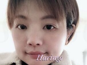 Haringo