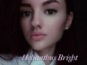 Helianthus_Bright