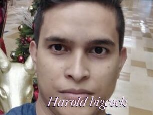 Harold_bigcock