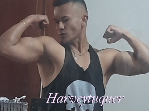 Harveytuquer