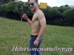 Heterosmensandboygay