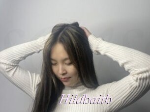 Hildhaith
